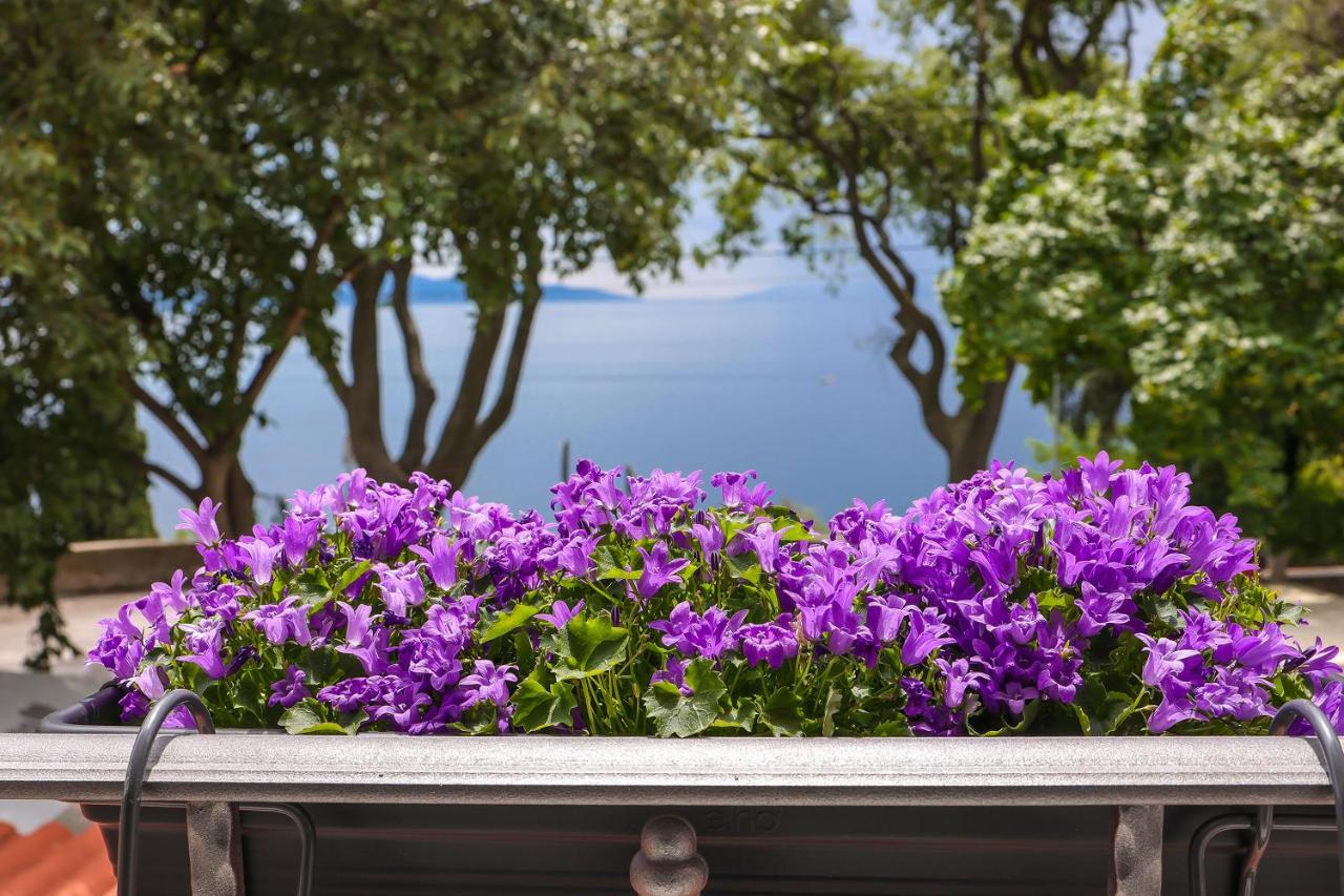 Ribica Luxury Rooms Rijeka Eksteriør billede